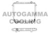 AUTOGAMMA 100441 Radiator, engine cooling